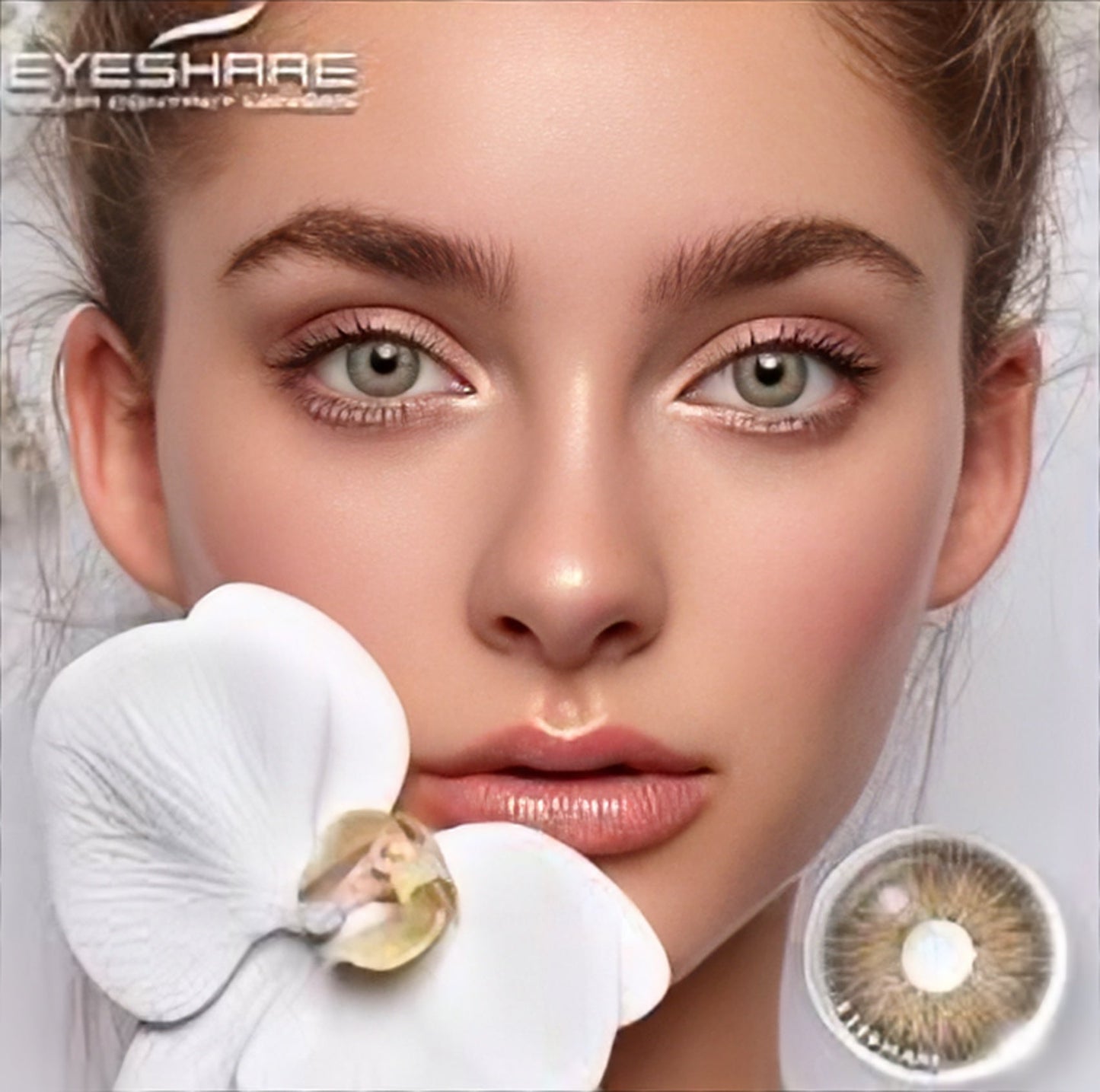 EYESHARE Pattaya Brown (Yearly)