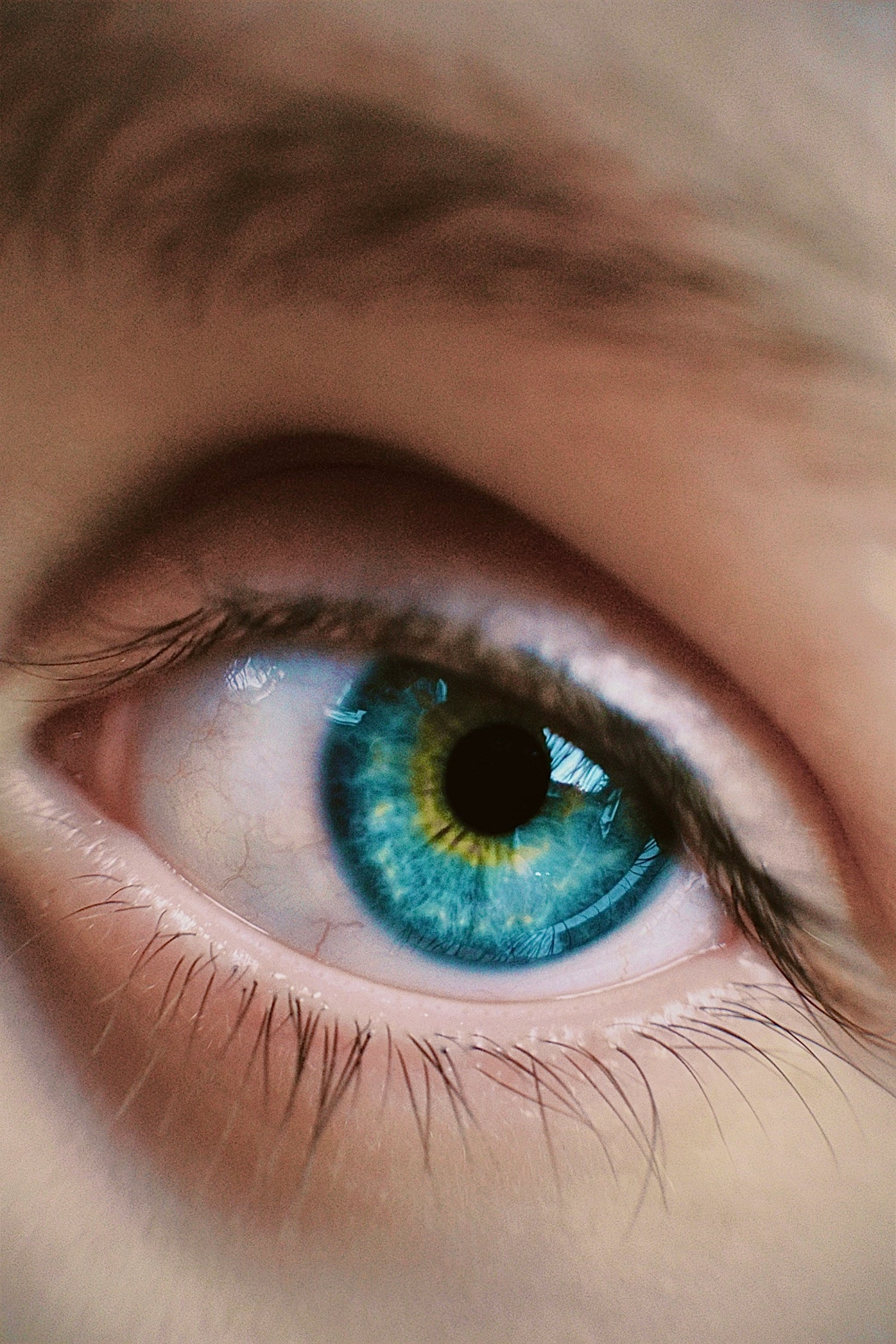 Colored Lens