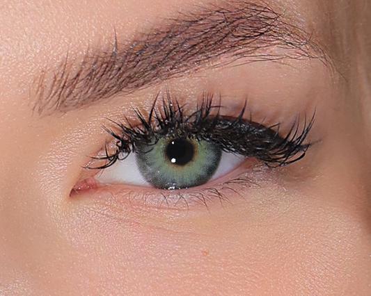Lady Ash Gray Green (1-Day)
