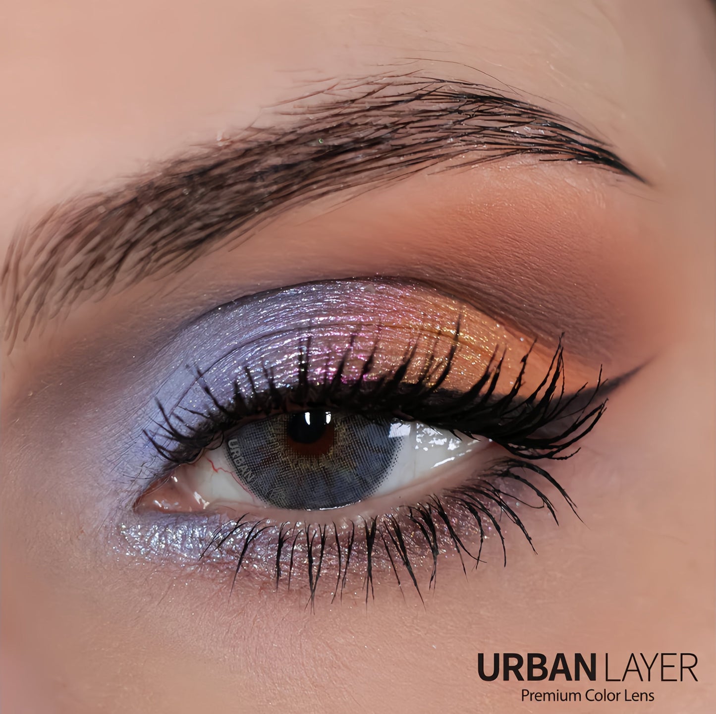 Urban Berkeley Blue (Yearly)
