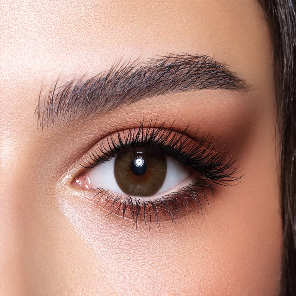 Bella Brown Shadow (Yearly)