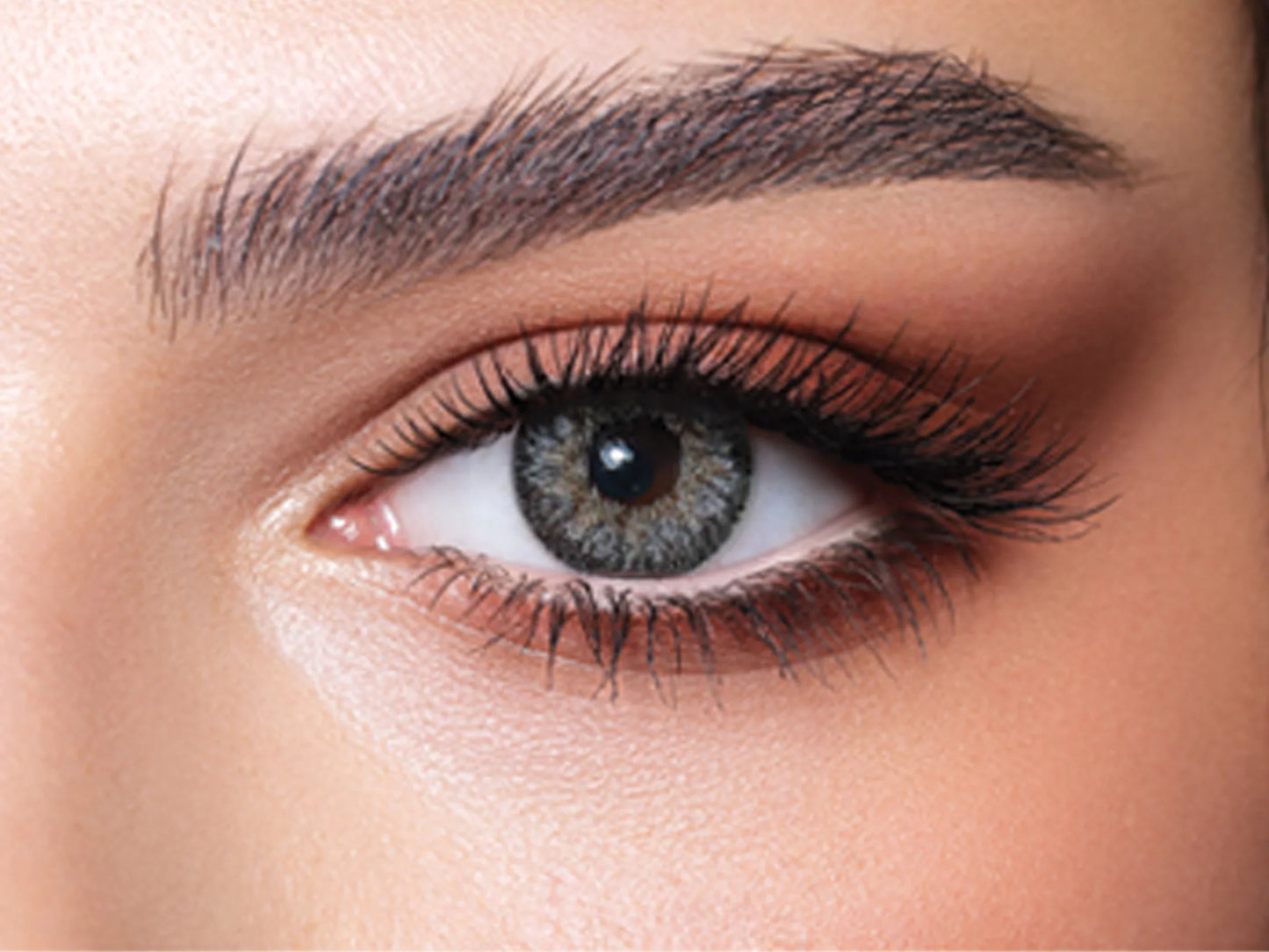 Bella Contour Gray (Yearly)