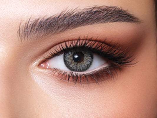Bella Contour Gray (Yearly)