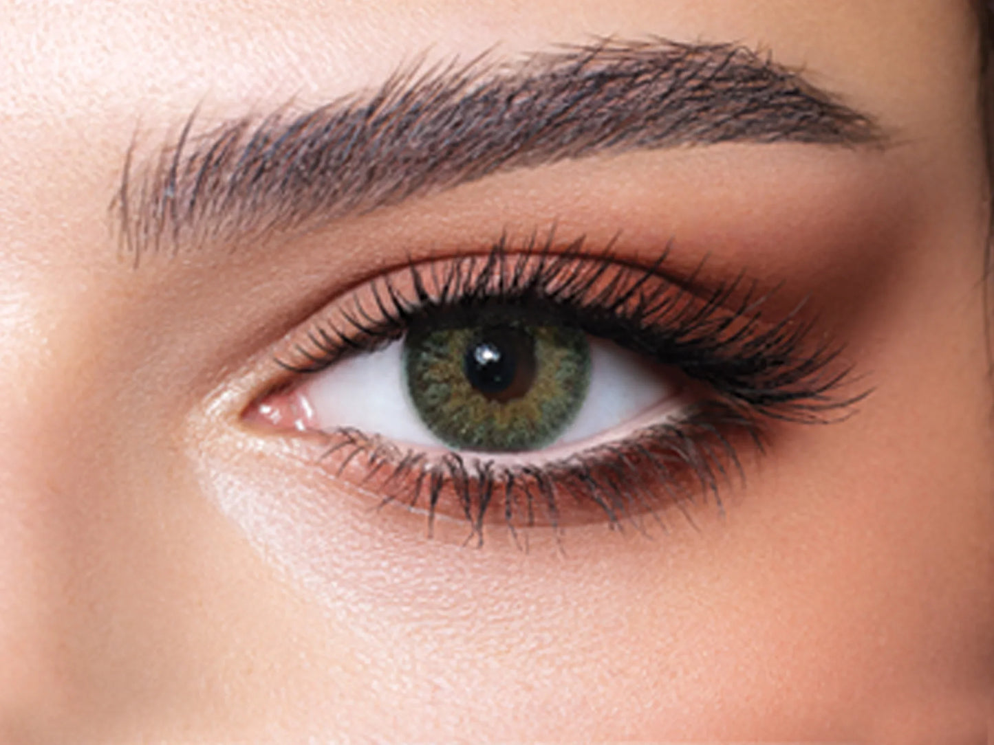Bella Contour Green (Yearly)