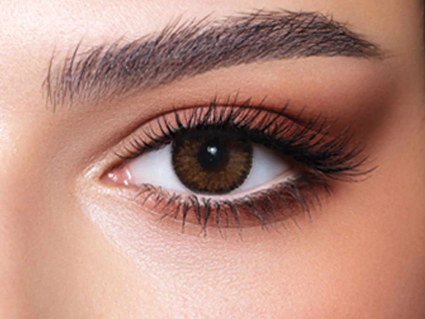 Bella Contour Hazel (Yearly)