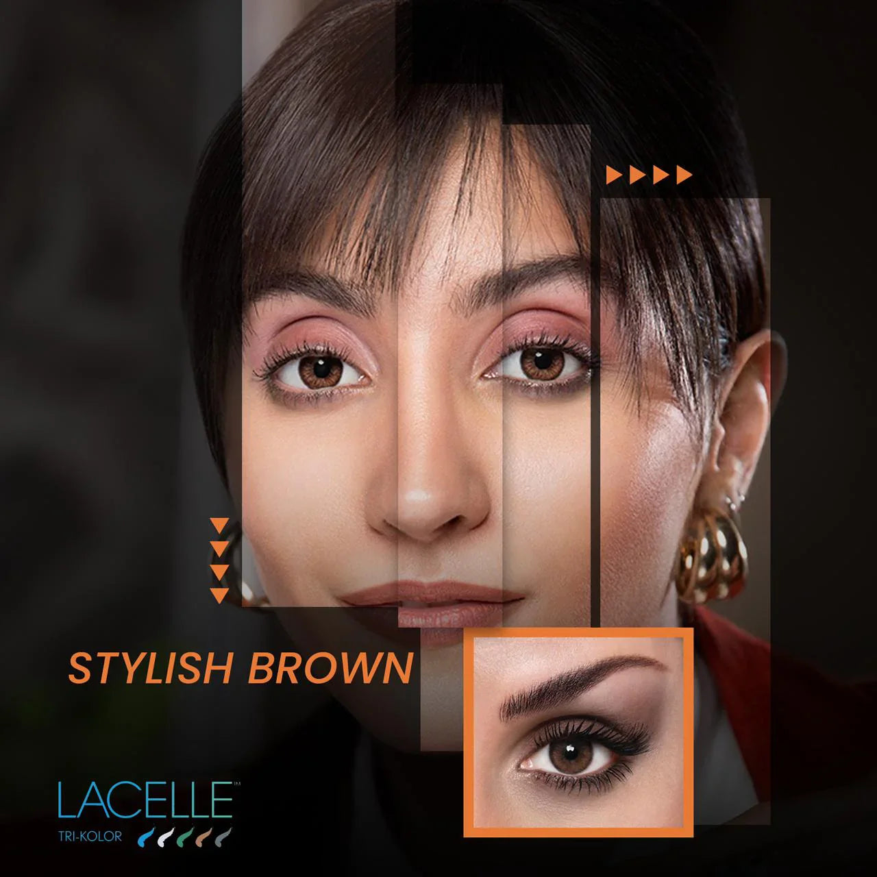 Tri Kolor Stylish Brown (Yearly)