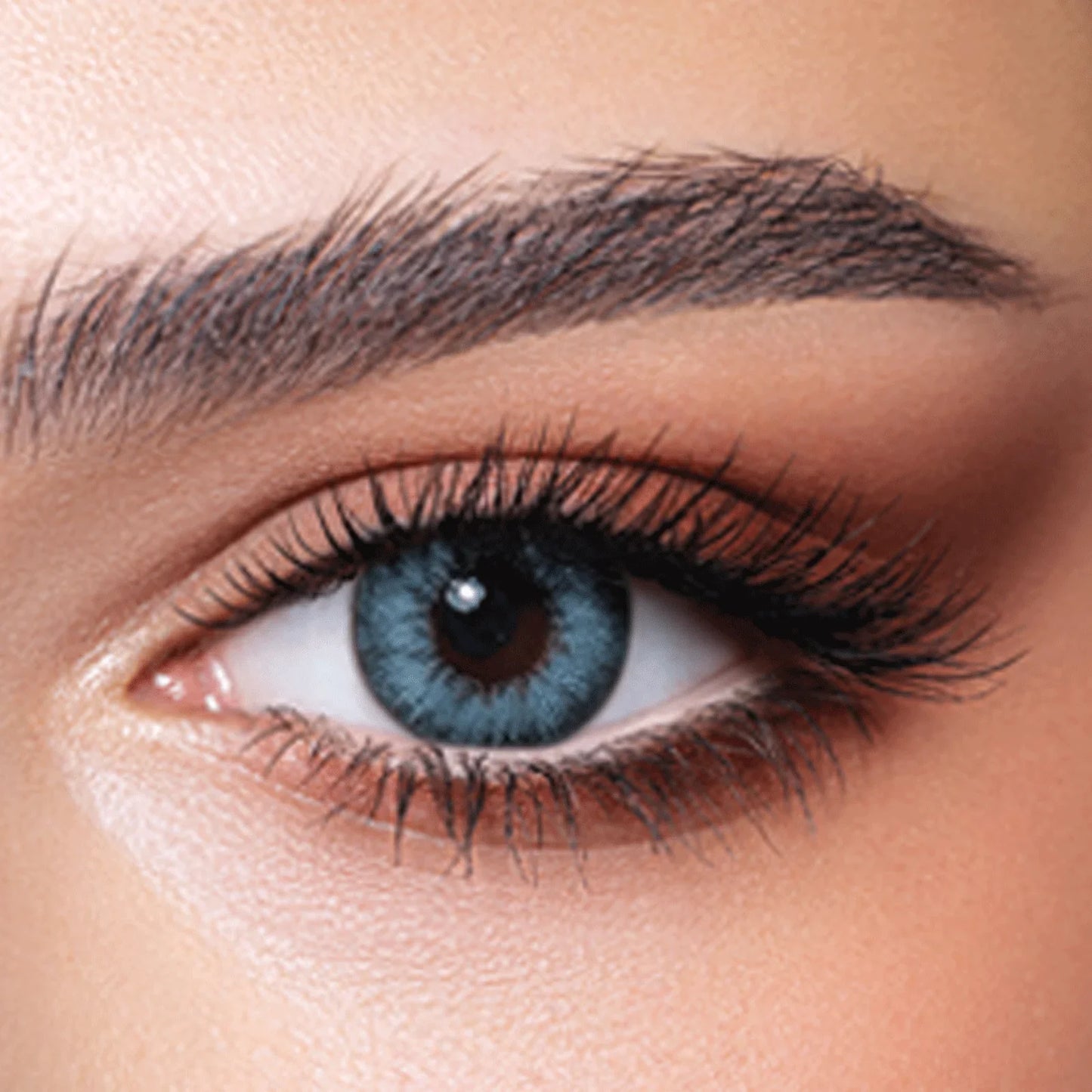 Bella Pacific Blue(Yearly)