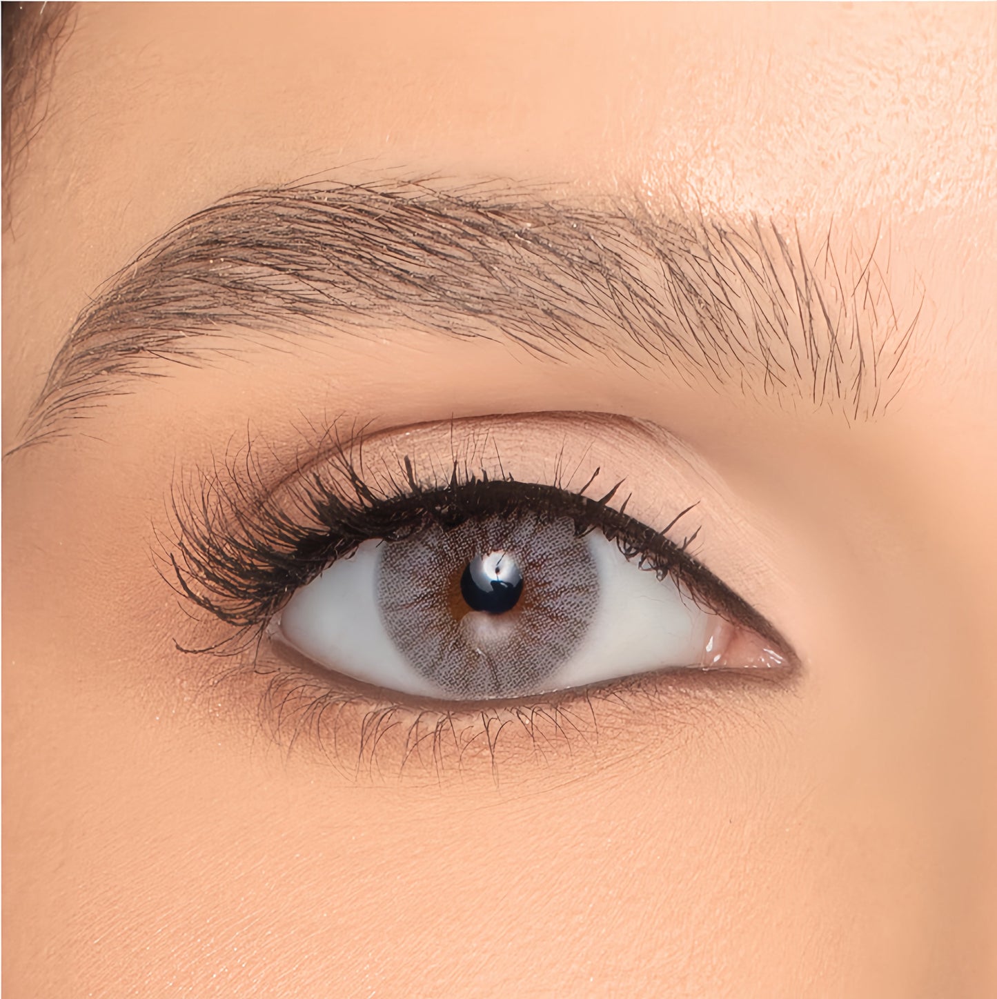 Naturèl Core Gray (Yearly)