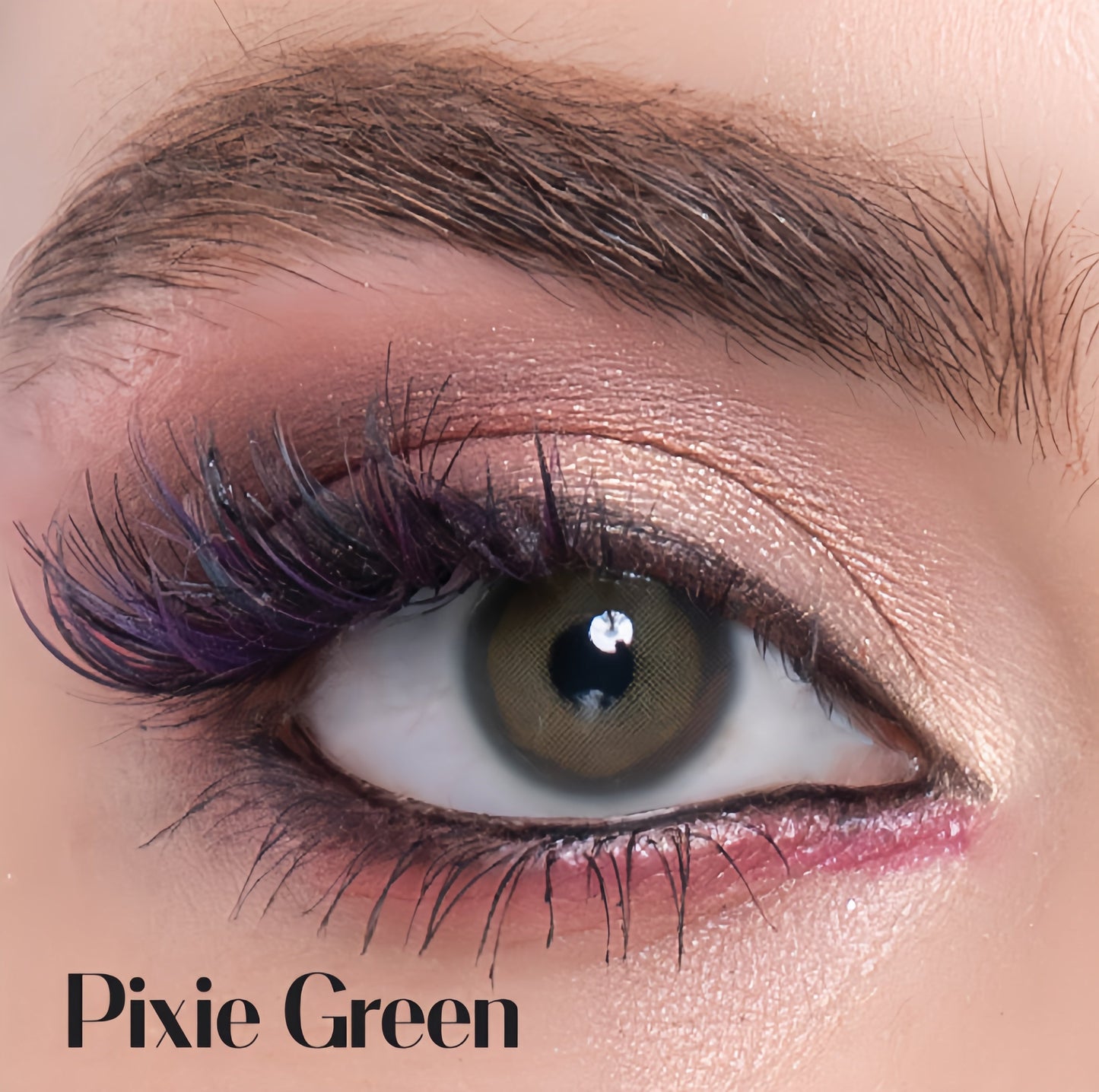 La Bella Pixie Green (Yearly)