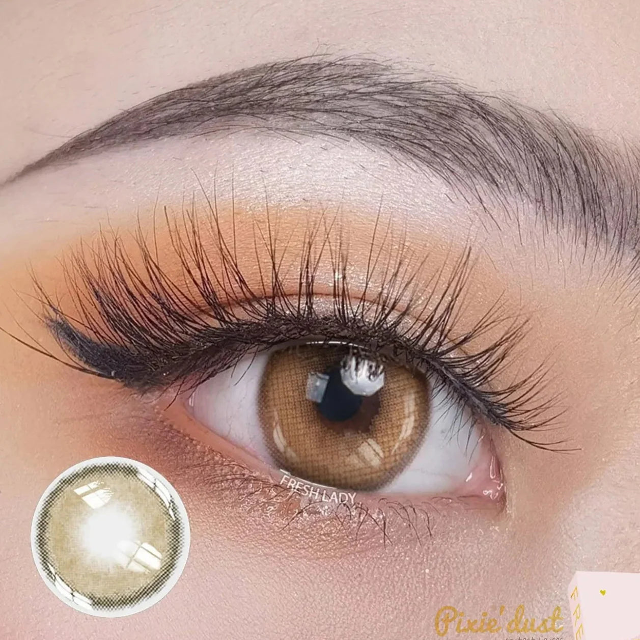 Fresh Lady Bassia Brown