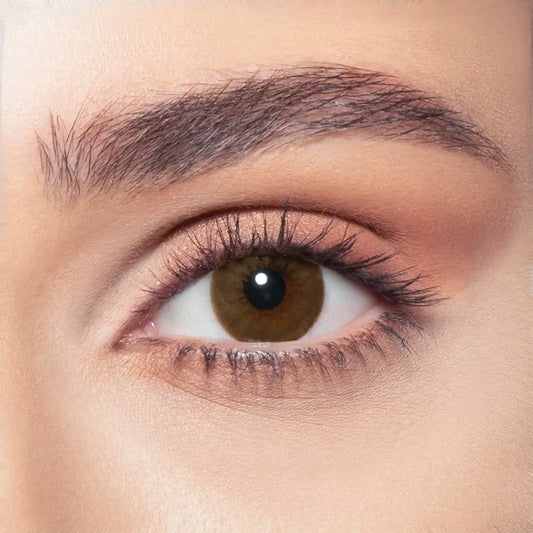 Bella Brown Shadow (Monthly)