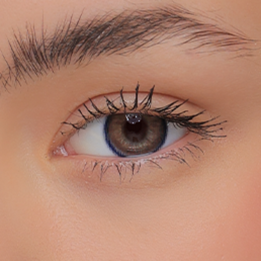 Celia Galaxy Brown (Yearly)