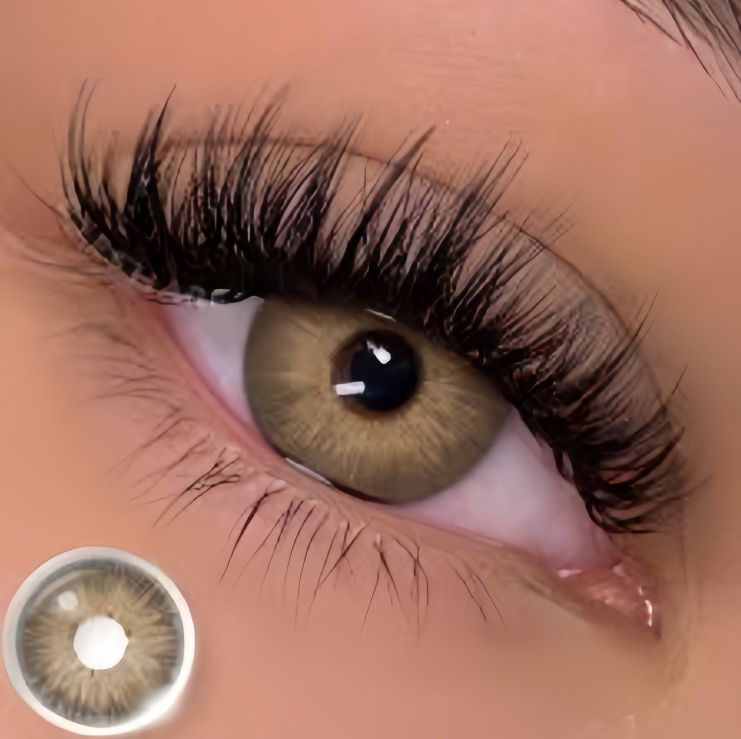 EYESHARE Pattaya Brown (Yearly)