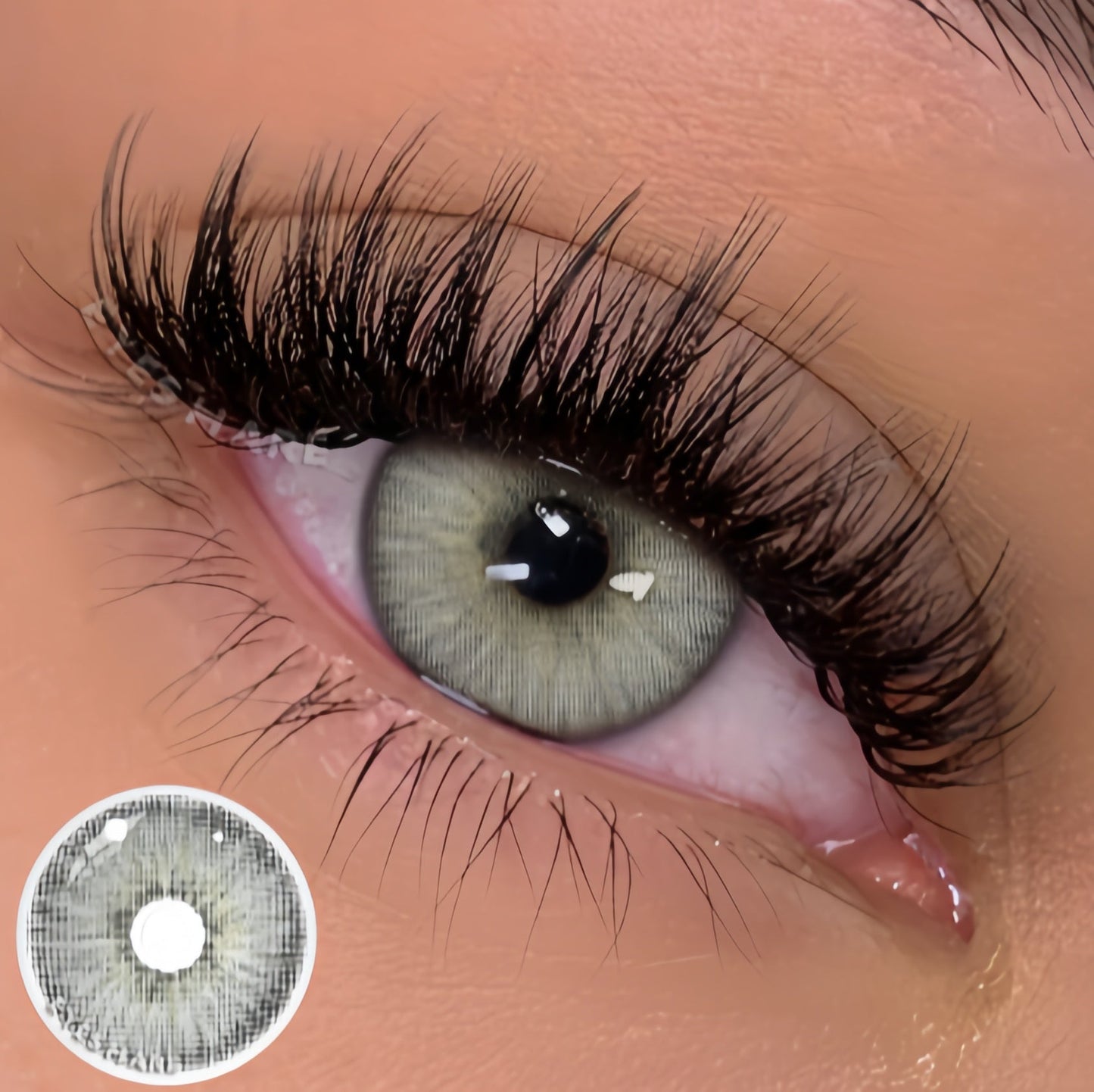 EYESHARE Estonia Gray (Yearly)