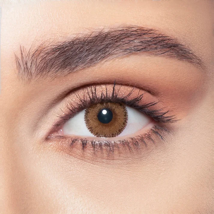 Bella Radiant Brown (Yearly)